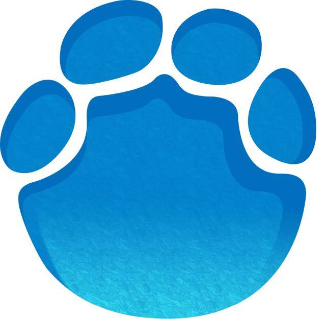 刚刚，孙杨犯规被取消成绩！张展硕夺冠，潘展乐第三