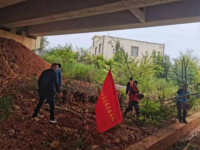 "千万工程"引路 滇中新区小哨街道矣纳社区绘就和美乡村新画卷