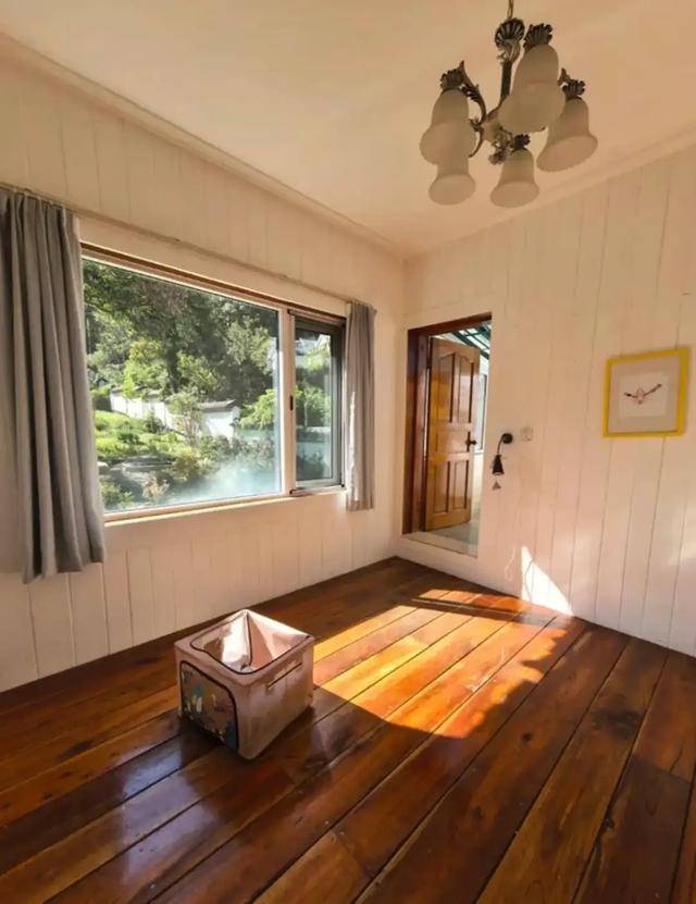 50岁龚琳娜独居深山,房子后面是一片坟地,离婚后养猫为伴不害怕