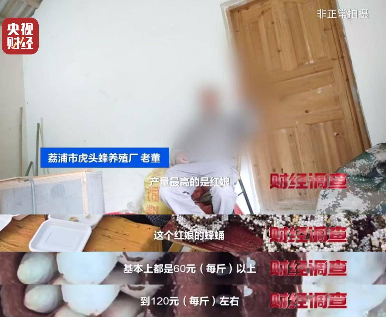 “杀人蜂”散养山头,无序滥养亟待监管,总台《财经调查》曝光→ “杀人蜂”散养山头,无序滥养亟待监管,总台《财经调查》曝光→