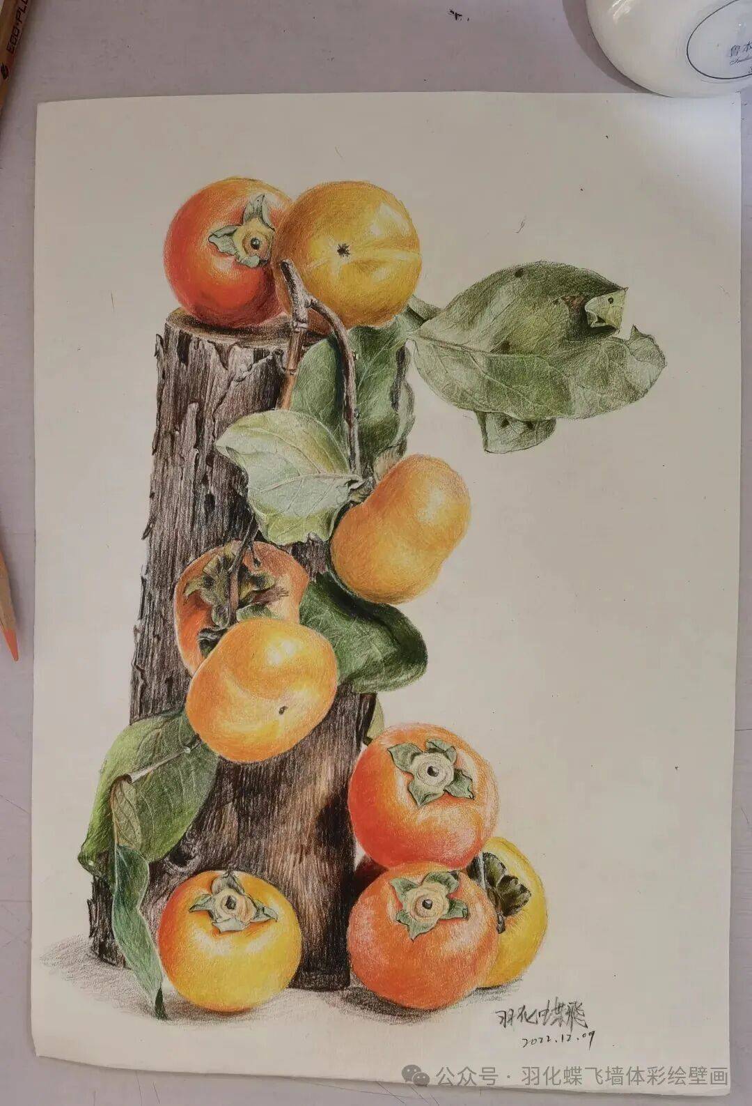 彩铅手绘作品快速浏览