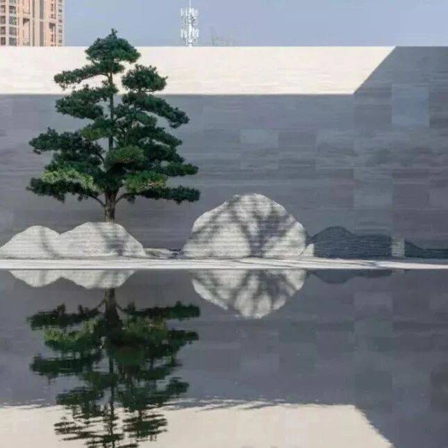 院子里一棵树，不多不少刚刚好，妙哉！_景观_庭院_空间