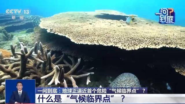 地球正逼近首个危险“气候临界点”，会带来哪些影响？