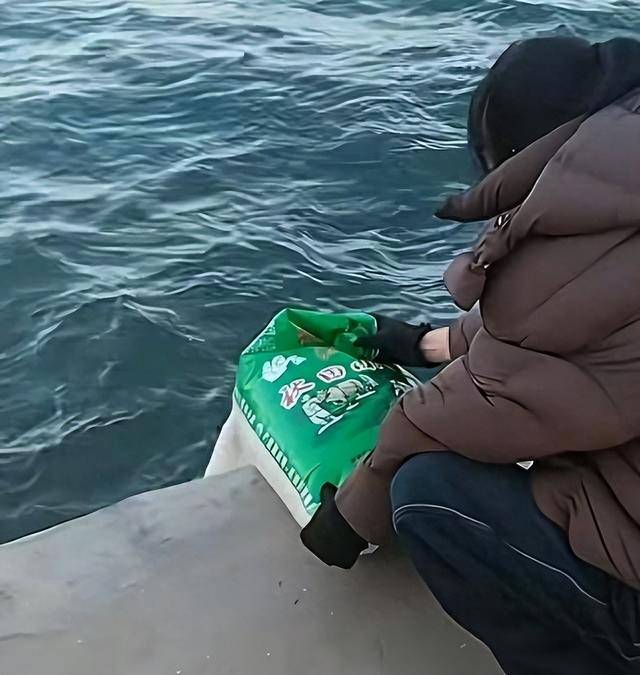 辽宁葫芦岛多人往海里倾倒大米，口中还念念有词，网友：浪费粮食让人不解