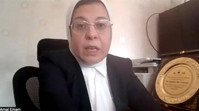 埃及红新月会负责人呼吁维持停火，避免加沙再次陷入困境