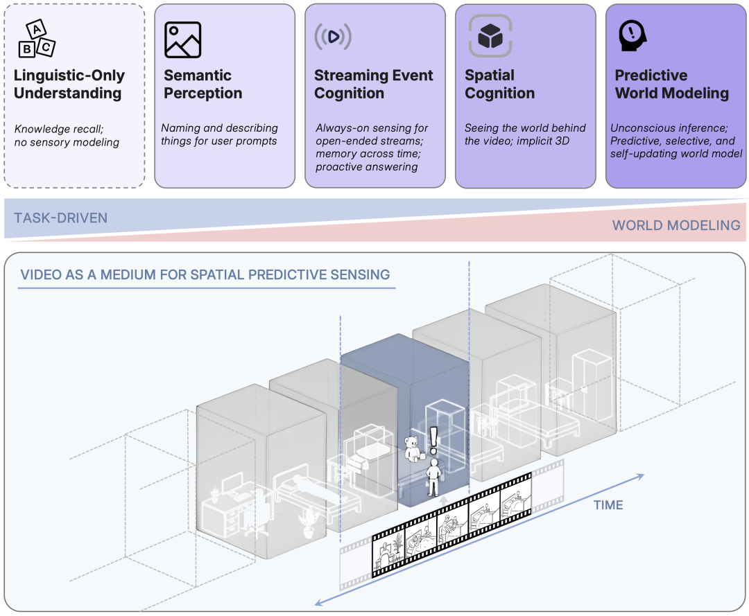 谢赛宁李飞飞LeCun搞的寒武纪，究竟是个啥？
