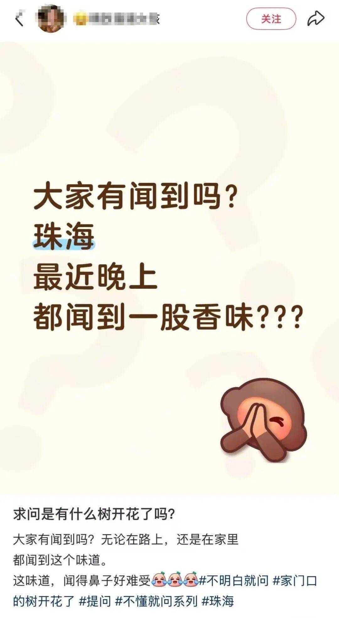 “闻了头晕”“鼻子难受”！珠海街头近期大量出现！