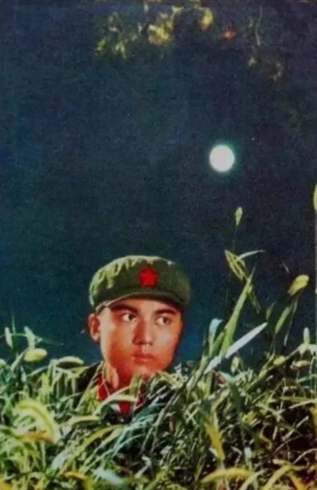 难得一见:江青摄影作品