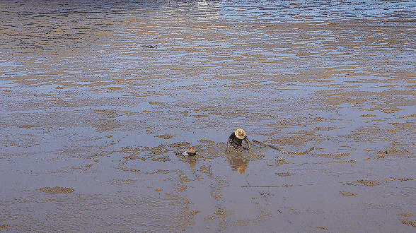 【科普】这种生活中常见的非牛顿流体，真的会“吃人”！