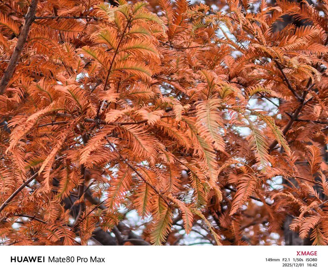 用了几天华为Mate80 Pro Max，我感觉它堆料有点过猛了。。。