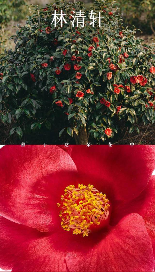 毛利率超80％，割女性韭菜？