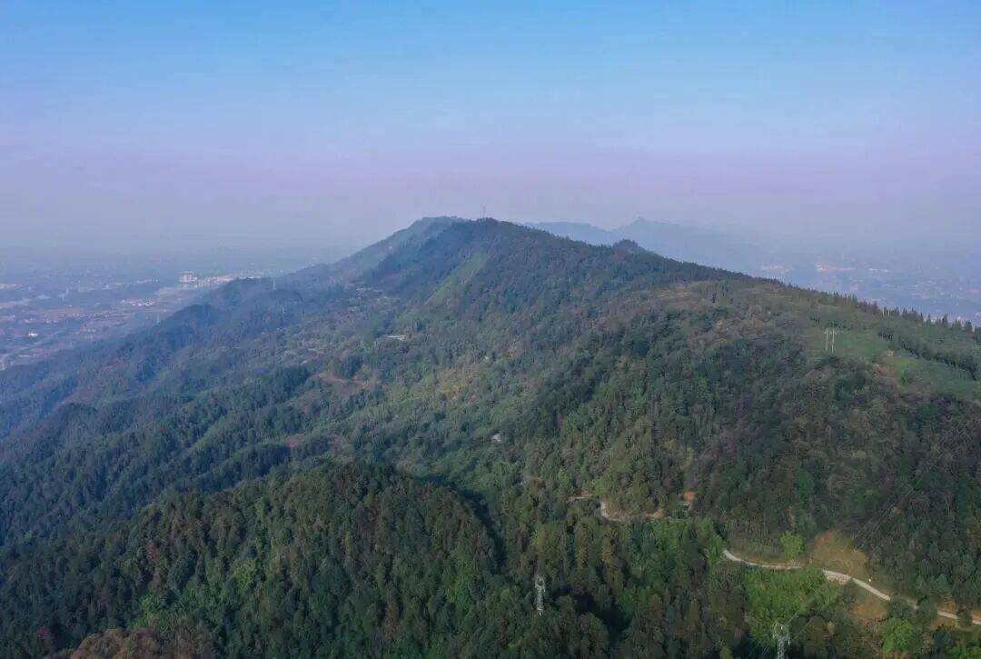 冬日,大足玉龙山国家森林公园,漫山遍野的彩叶交织成绚烂画卷,澄澈