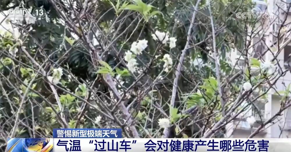 气温“过山车”会对我们的健康产生哪些危害？警惕新型极端天气↓