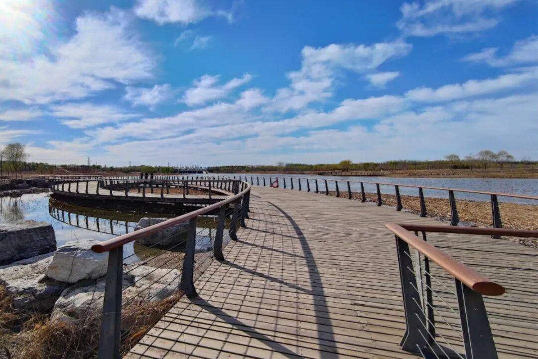 副中心这处水景大公园已开放,遛弯打卡超惬意!