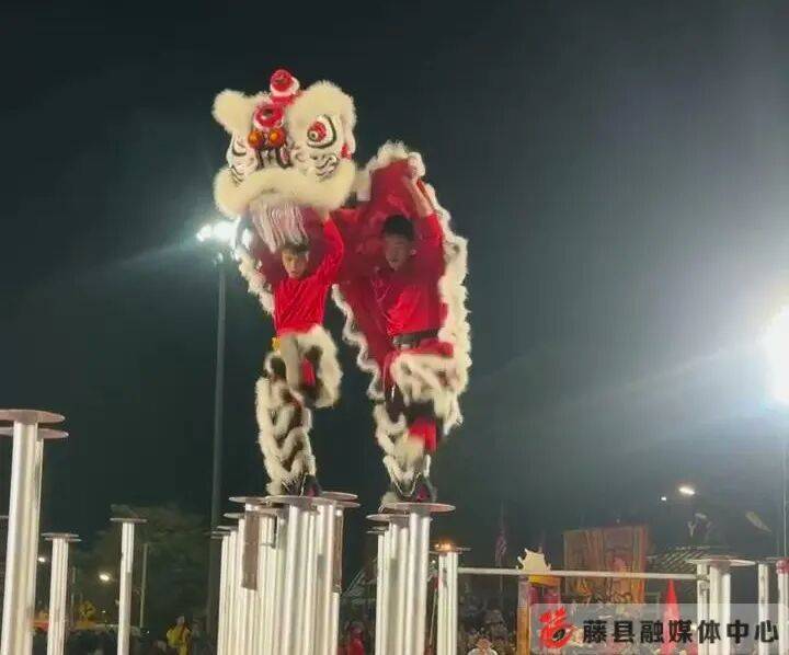 从地方瑰宝到国际名片 藤县狮舞铸就世界荣光_醒狮_赛事_黎逸