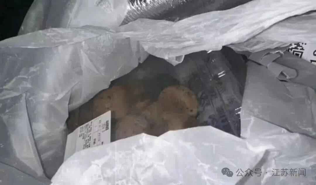 山姆回应麻薯盒内出现活老鼠:初步判断被周边虫害侵入所致(图2)