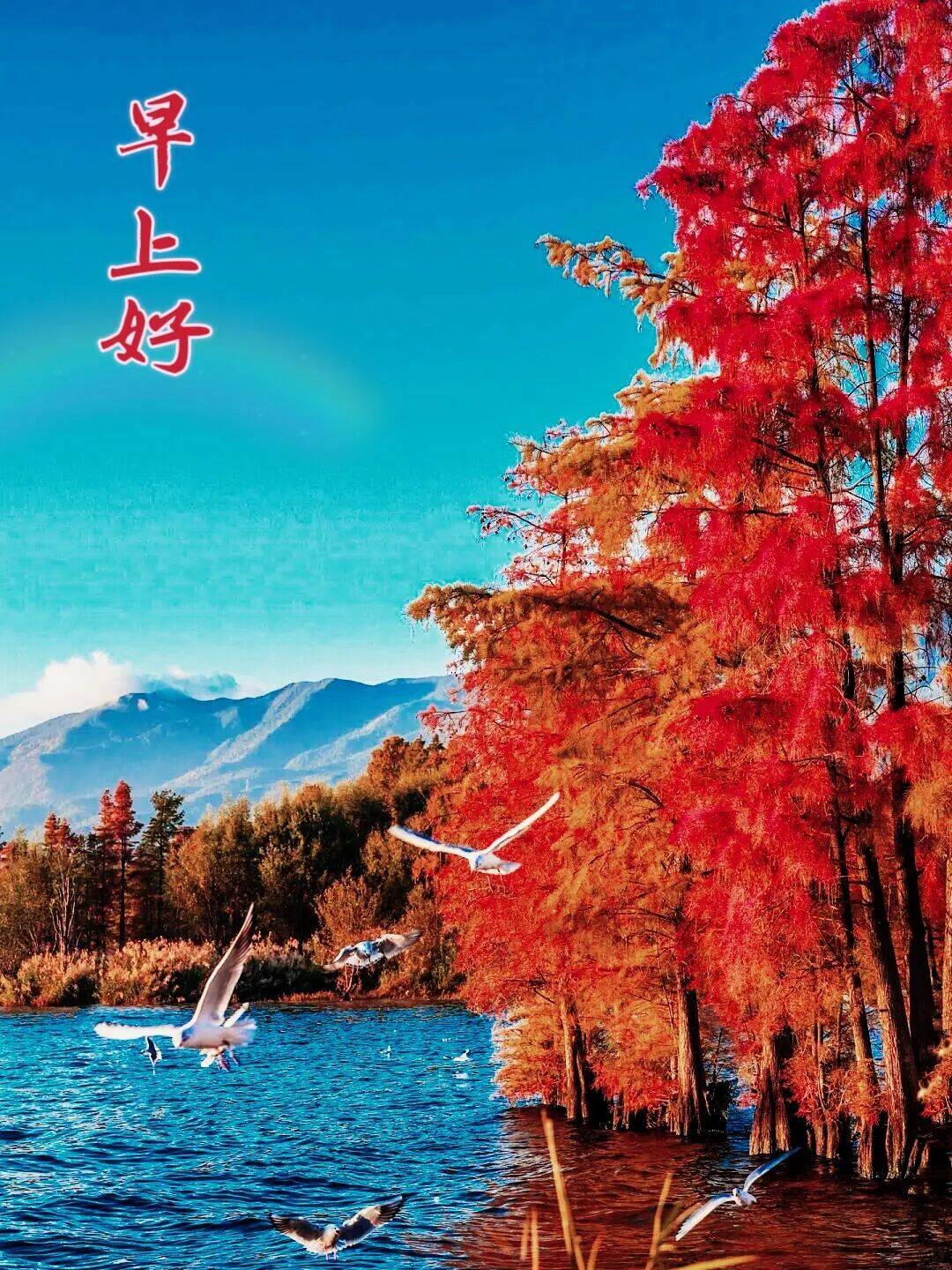 99张自然山水风景早上好祝福图合集 今日早上好最新版早上好图片精选