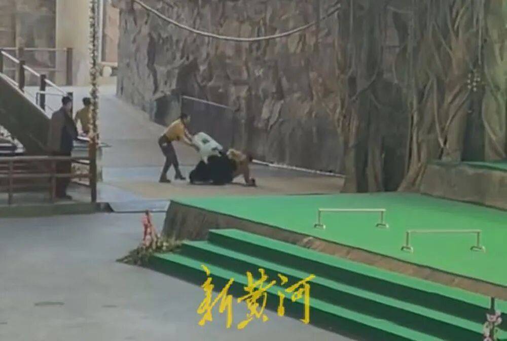 杭州市富阳区对杭州野生动物园“黑熊事件”作出处理:黑熊表演永久性停止、驯养员停职转岗