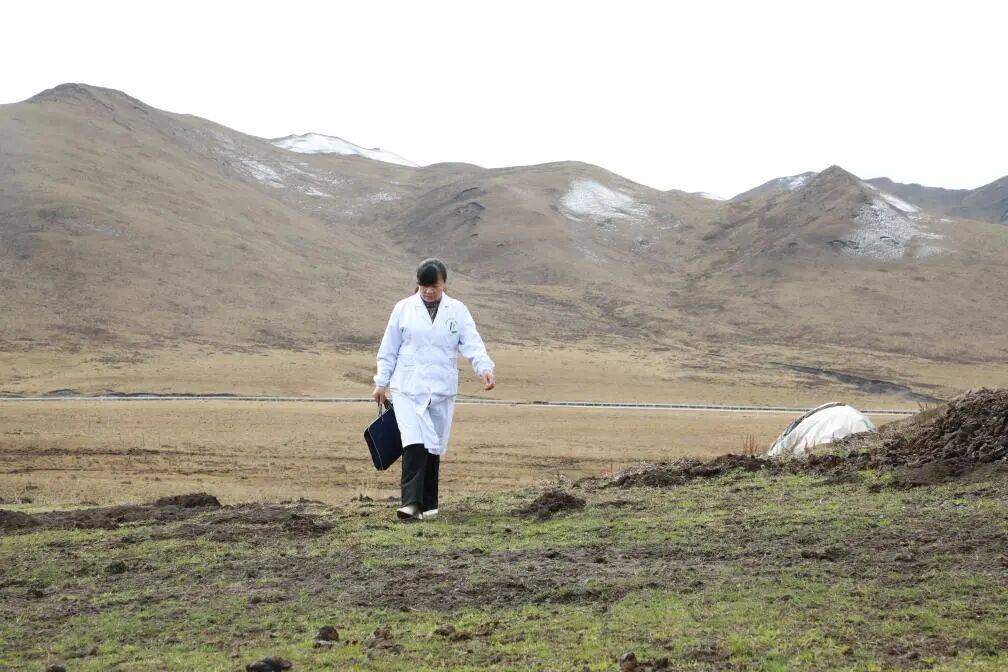 草原上的“曼巴” 偏远牧区的“健康使者”