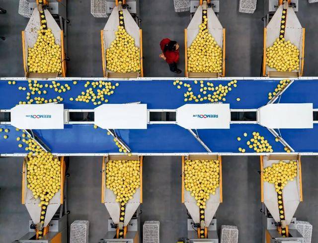 500万质检工人，危机来了