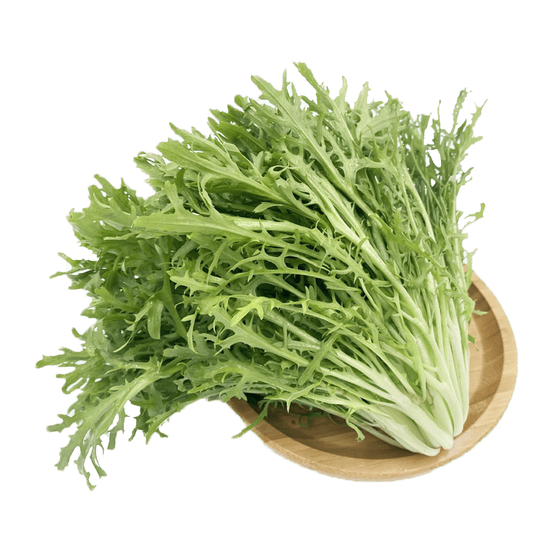 新鲜健康从一口开始:槿馐苦叶生菜,让你的餐桌焕然一新!_美味_生活_食材