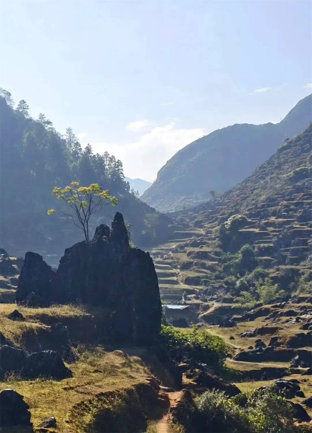 穿行在古老的石阶与嶙峋的石林中以及世外桃源般的山中人家原始的梯田