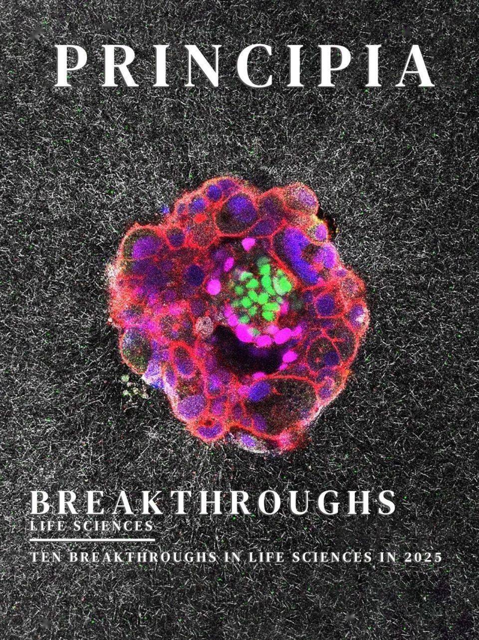 2025年，十大生命科学突破_搜狐网