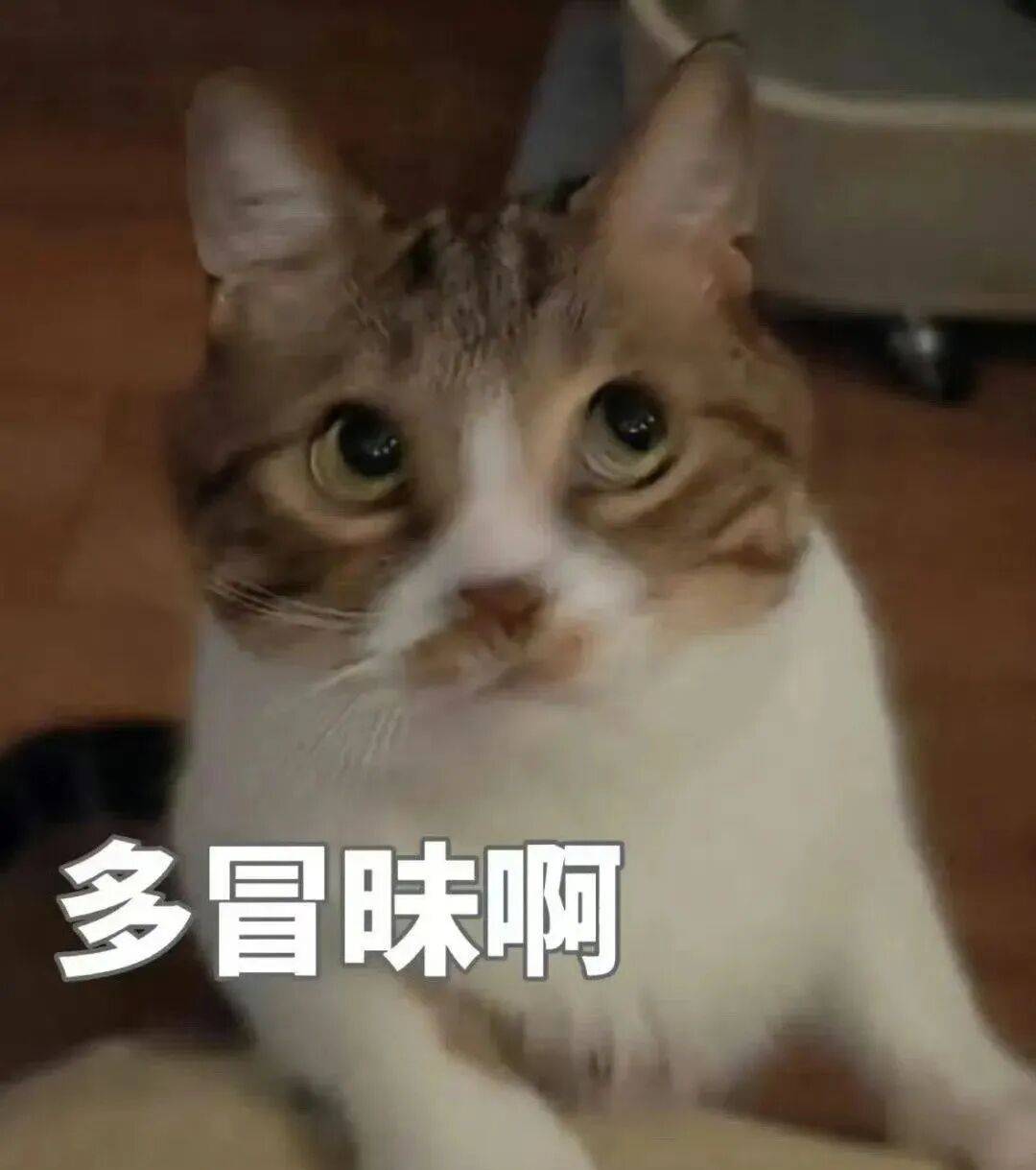 亲闺女一句话杀伤力极强哈哈哈哈