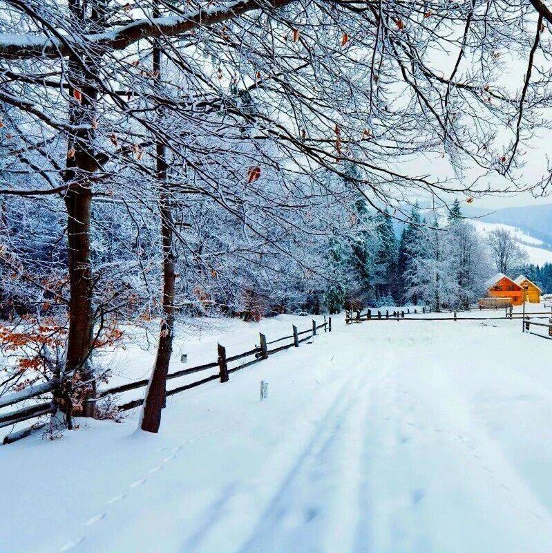 程晋仓:淮南的雪_雪花_鹅毛大雪_大地