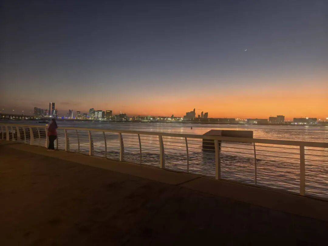 【蝶半岛体育- 半岛体育官方网站- APP下载语兰心】姜大进｜魅力迪拜