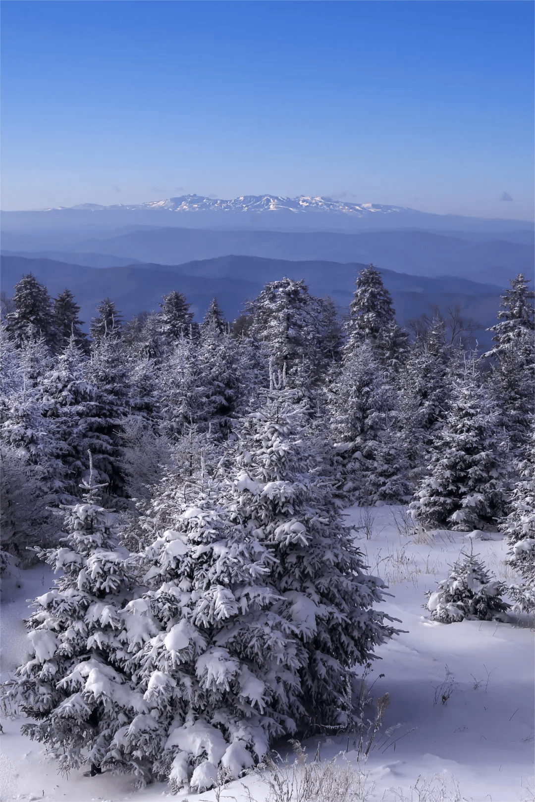 无论几岁，花式玩雪！冬季来长白山就要这么玩→_温泉_火山_雪绒花