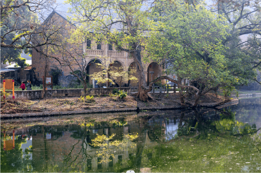 天等县天等镇入选2025年度"美丽中国·深呼吸小城/乡镇"