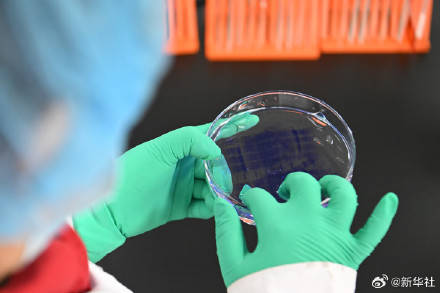 用药利好事关你我!国家医保药品清单一览