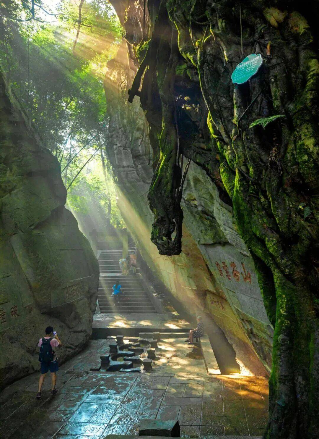 年春晚分会场！期待宜宾再次出圈麻将胡了试玩模拟器总台2026(图18)