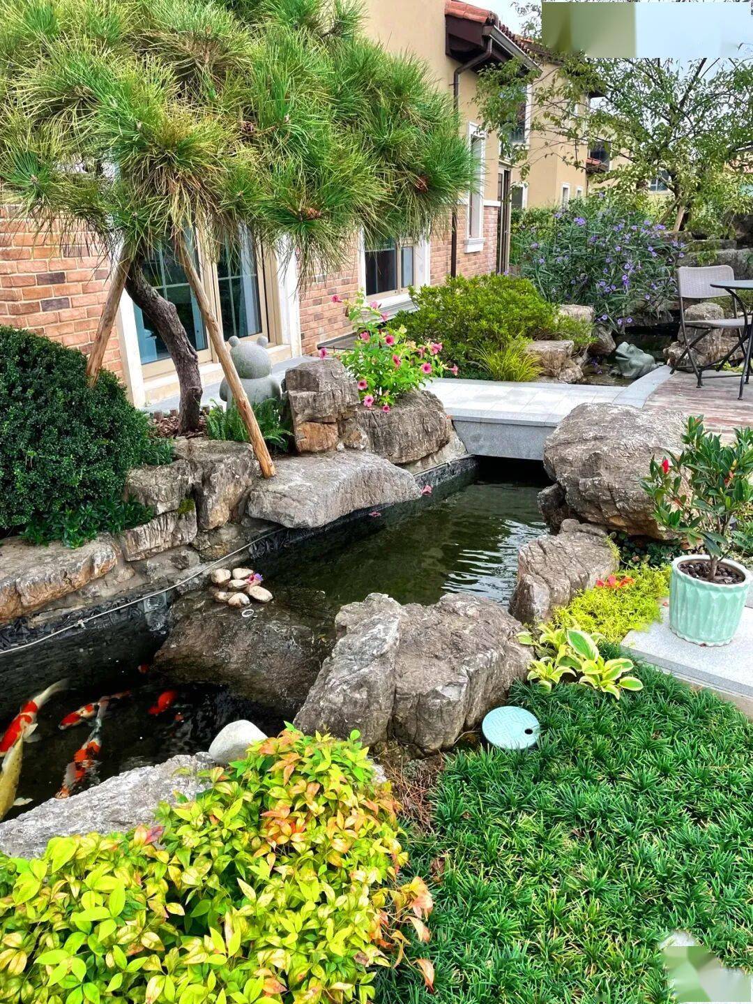 如何建造一个完善的鱼池过滤系统