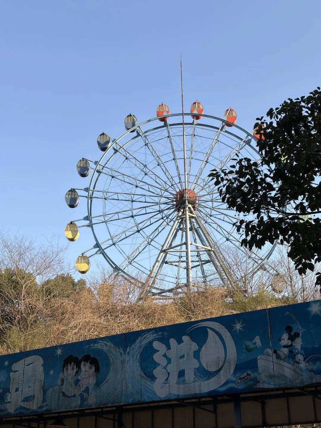 代表安卓出战？荣耀能抢到 iPhone Air 的风头吗？