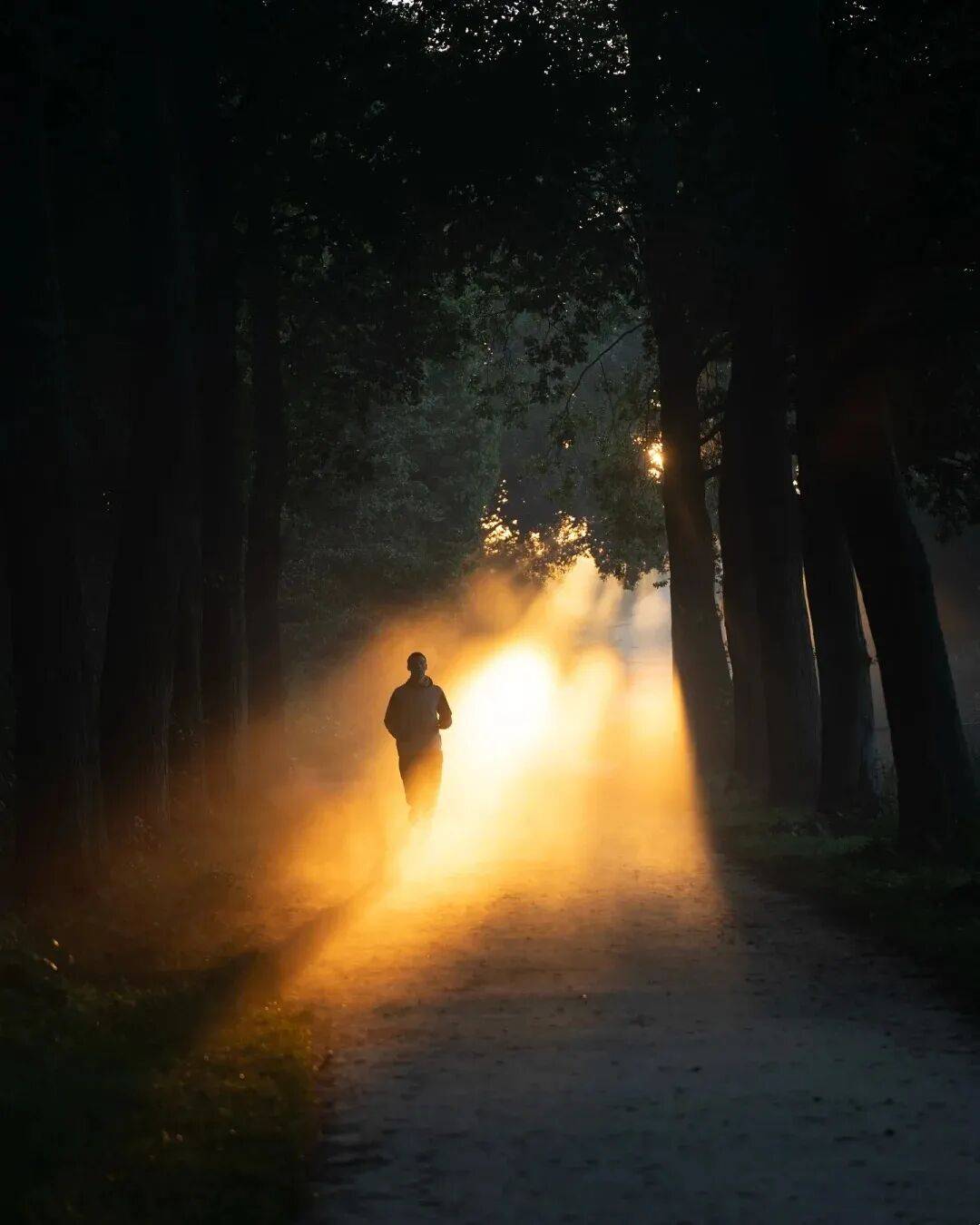 向光而行,那是人类最初的模样