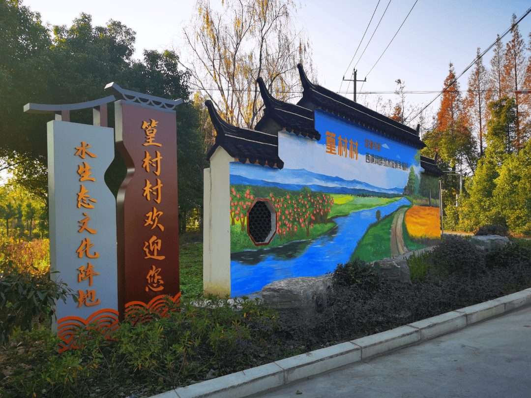 临港动态｜以变破局焕新颜 铺展水乡振兴篇