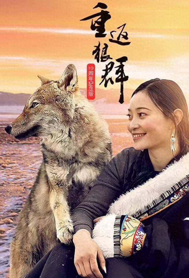 《重返狼群》爆火,导演独自逃跑引争议,李微漪:那是人的本能_格林_动物园_大自然