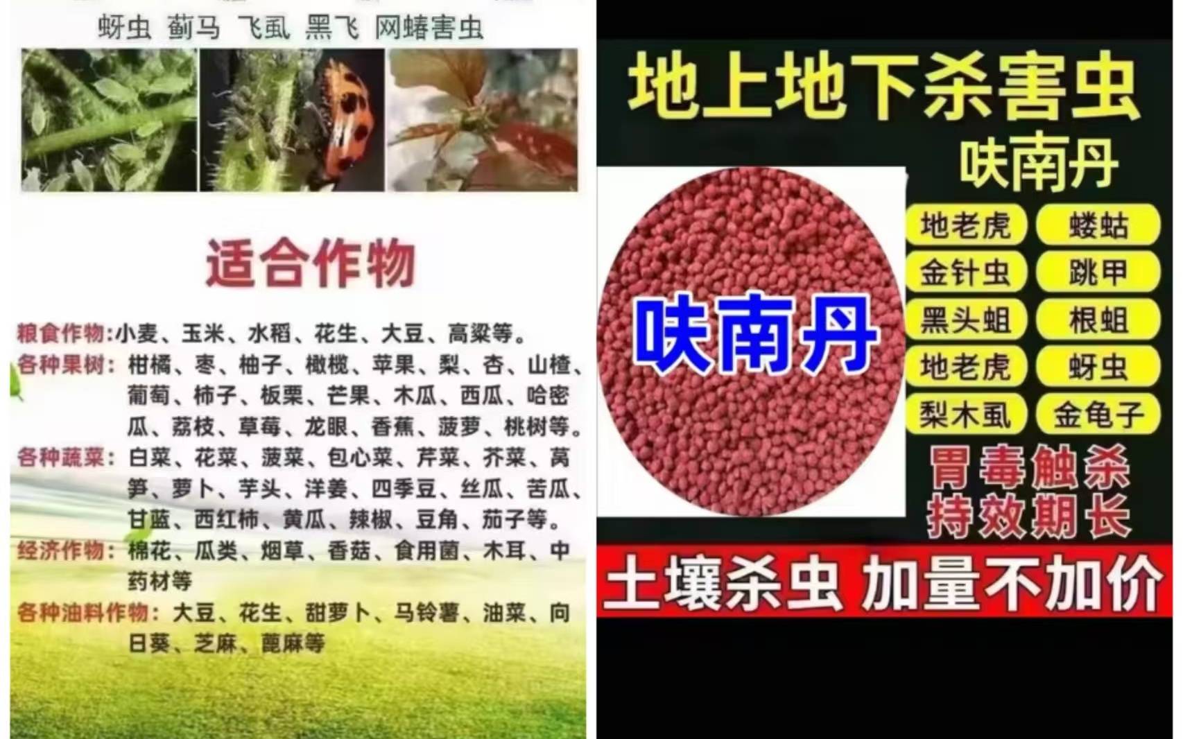菜商违规使用被查后 禁用农药“改名换姓”仍在电商平台有售(图1)