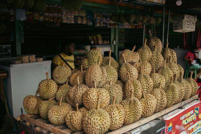 1030亿比索砸向铁路、机场、港口，菲律宾基建加速