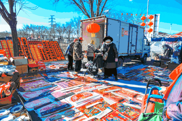 1月22日最佳情报|临沂大棚北美冬青似玛瑙，济南大集热闹非凡