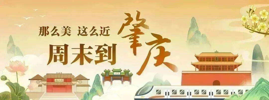 赏兰花、体验陶艺……这周末，肇庆又有好去处！