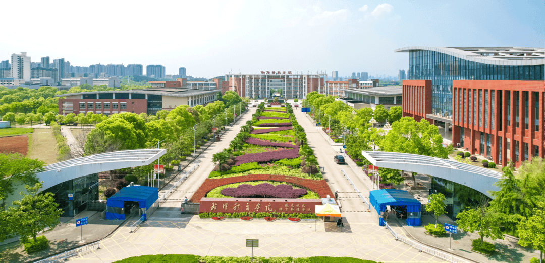文章配图-4