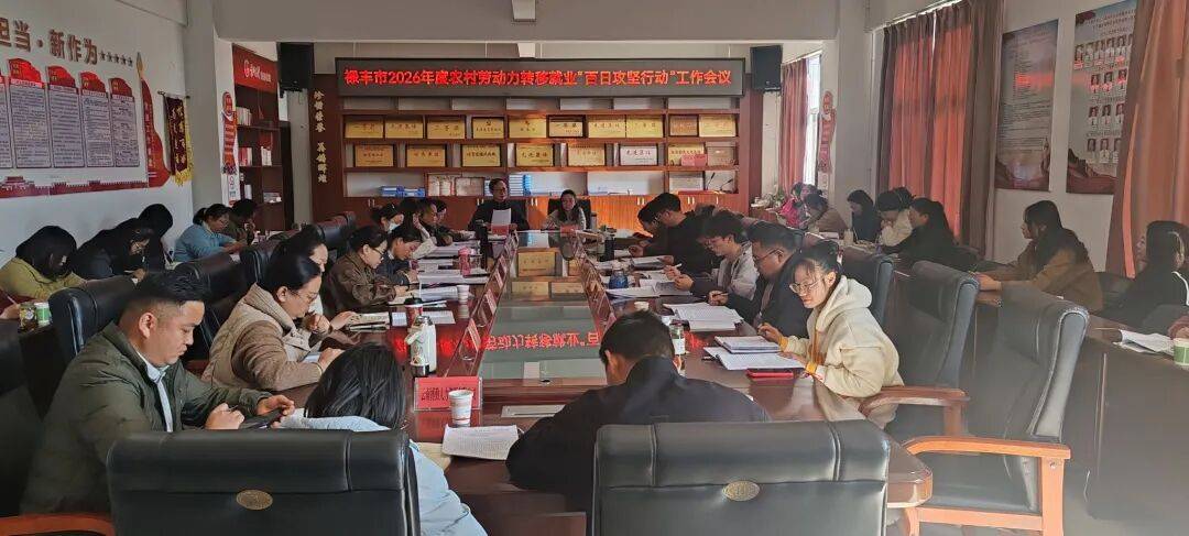 禄丰市：优质就业创业服务更贴心_培训_劳动力_农村