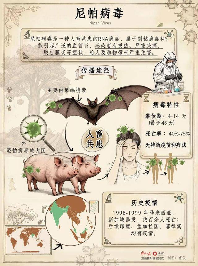  新冠疫情的起因和源头(新冠疫情的起因和源头官方解释)