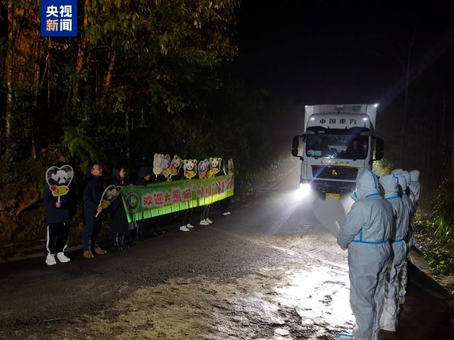 图片[7]-旅日大熊猫“晓晓”“蕾蕾”入住中国大熊猫保护研究中心雅安基地 -华闻时空