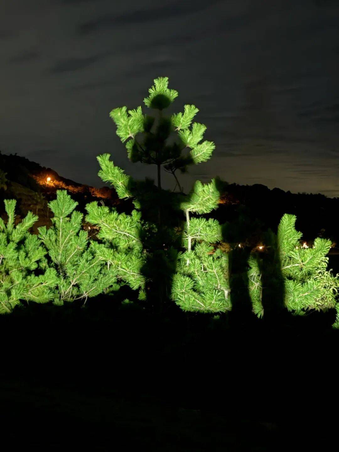 图片[28]-人均旅行焦虑的时代，我们为什么还要出发？-华闻时空