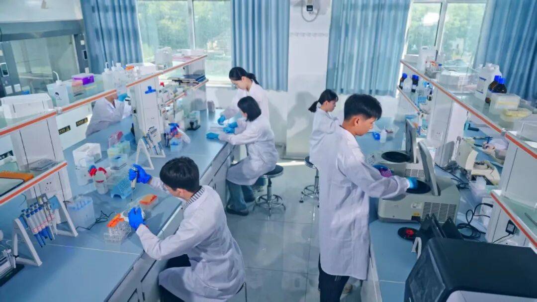“在国家和人民最需要的地方,扎根、开花、结果!”_团队_山东省_张伟丽