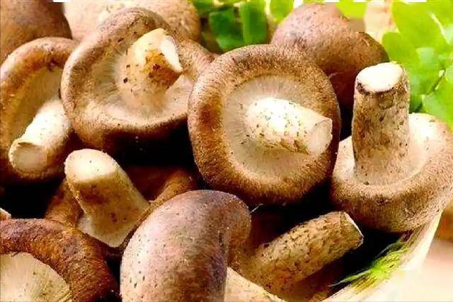 香菇再次被关注！调查发现：癌症患者吃香菇，不过多久或有5改变